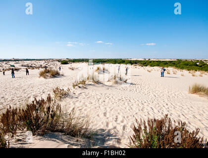 Mobile dune di sabbia di Doñana, Spagna, essere soffiata dal vento per coprire la linea degli alberi. Con i bus turistici e turisti. Foto Stock