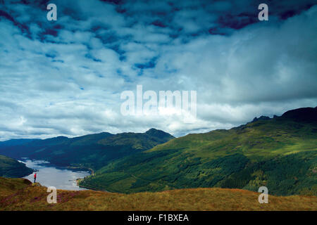 Loch Long e le Alpi a Arrochar da Cruach Tairbeirt, Loch Lomond e il Trossachs National Park, Argyll & Bute Foto Stock