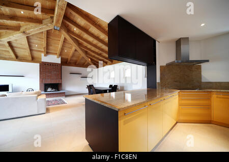 Moderno appartamento loft arredato, cucina Foto Stock