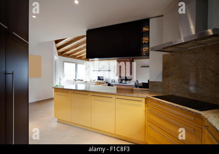 Moderno appartamento loft arredato, cucina Foto Stock