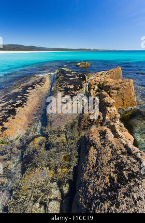 Costa rocciosa con la bassa marea, Baia di incendi, Tasmania, Australia Foto Stock