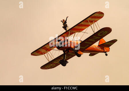 AeroSuperBatics come il Breitling Wingwalkers, un acrobazia aerea britannica e il team di wingwalking Foto Stock