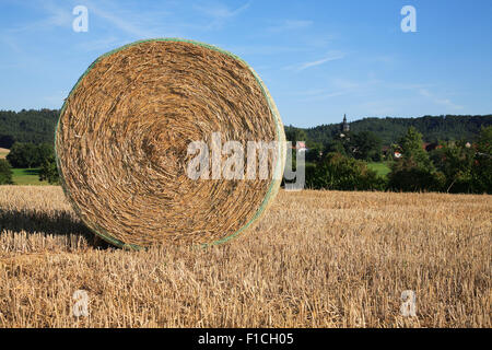 Balle di paglia nel campo Foto Stock