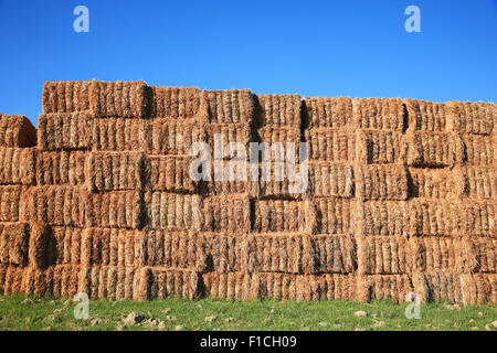 Balle di paglia accatastati nel campo Foto Stock