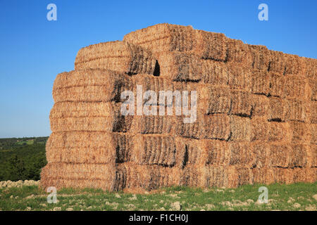 Balle di paglia accatastati nel campo Foto Stock