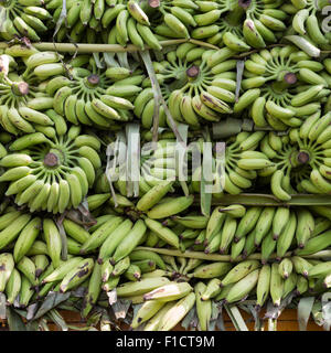 I grappoli di banane verdi impilate su di un carrello per la spedizione. Fotografato a Muvattupuzha sul Kochi a Munnar Rd in Kerala India Foto Stock