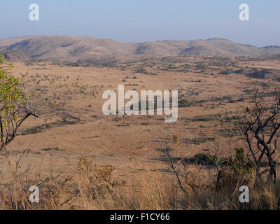 Pilanesburg National Park, Sud Africa, Agosto 2015 Foto Stock