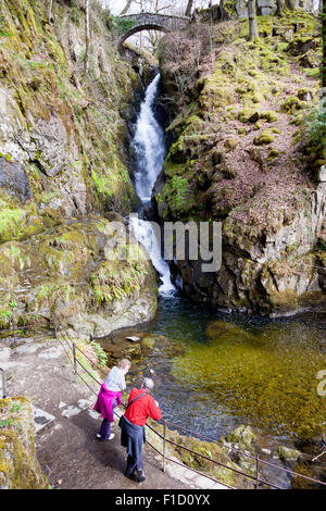 Aira Force cascata, vicino a Glenridding e Lake Ullswater, Lake District, Cumbria, Inghilterra Foto Stock