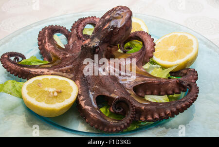Un polipo lesso, tra limoni tagliati, su un piatto di vetro, su un letto di lattuga, pronto a mangiare in una tabella di diffusione. Foto Stock