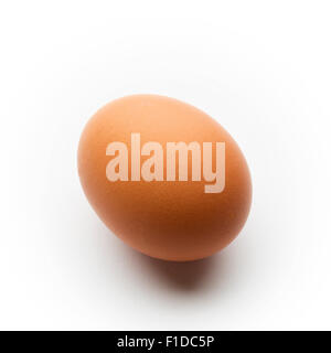 Singolo uovo marrone isolato su uno sfondo bianco. Foto Stock