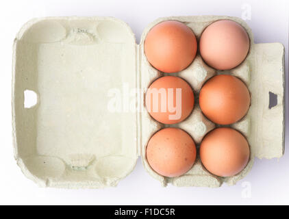 Sei uova di colore marrone in una scatola di cartone isolato su uno sfondo bianco. Foto Stock