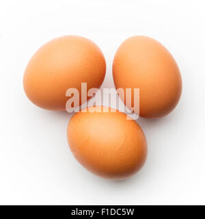 Marrone tre uova di galline isolato su uno sfondo bianco. Foto Stock