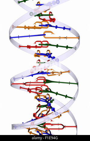 DNA isolato helix Foto Stock