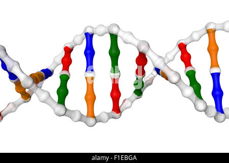 Semplificata ad elica di DNA Foto Stock