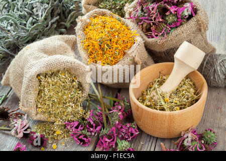 Erbe curative in sacchetti di Hesse, mortaio di legno con la camomilla sul tavolo rustico, la medicina di erbe. Foto Stock