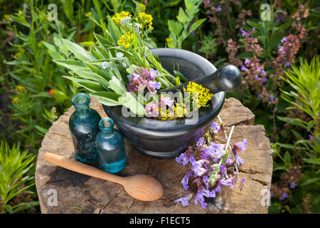 Mortaio con erbe curative e salvia, bottiglie di olio essenziale in giardino. La medicina di erbe. Foto Stock