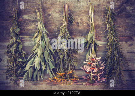 Vintage foto stilizzata di mazzetti di erbe curative sulla parete in legno, la medicina di erbe. Foto Stock