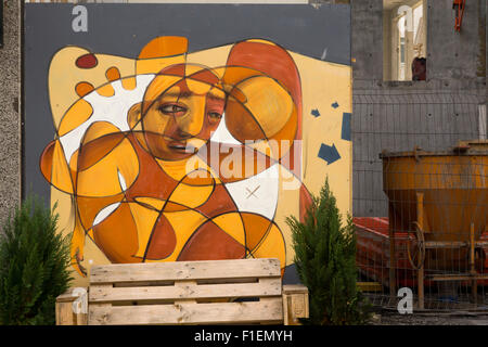 Professional graffiti su costruzione palizzata in Rekjavik, Islanda Foto Stock