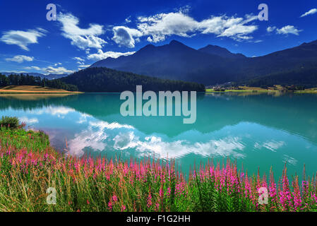 Incredibile giornata di sole al lago Champferersee nelle Alpi Svizzere. Silvaplana village, Svizzera, Europa. Foto Stock