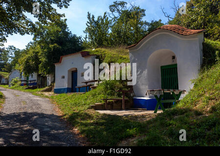 Cantine, Petrov Plze, vicino all'architettura popolare di Straznice, regione vinicola Slovacko, Moravia meridionale, Repubblica Ceca Europa Foto Stock