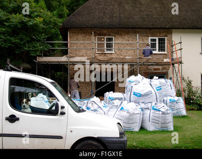 Costruttori lavorando sulla parte anteriore di una casa con un cane sat nel costruttori van, Milton Abbas, Dorset, Regno Unito Foto Stock