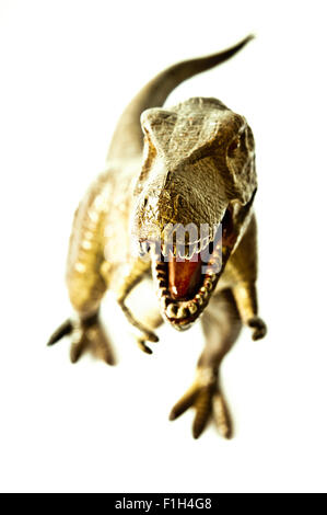 Tyrannosaurus Rex isolato Foto Stock