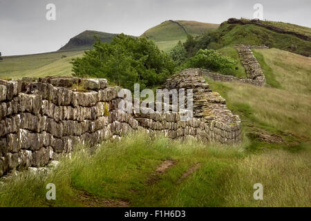 Parete di Adriano a Cawfields Foto Stock