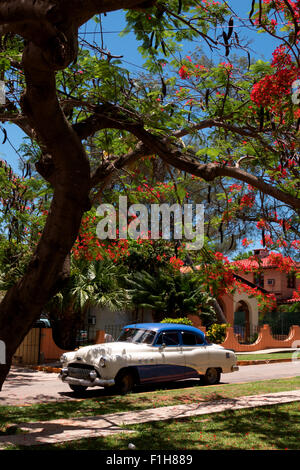 Bella vintage restaurati vettura americana dal 50s parcheggiato sulla strada, vecchio 1950 auto sotto albero. Varadero, Cuba Foto Stock
