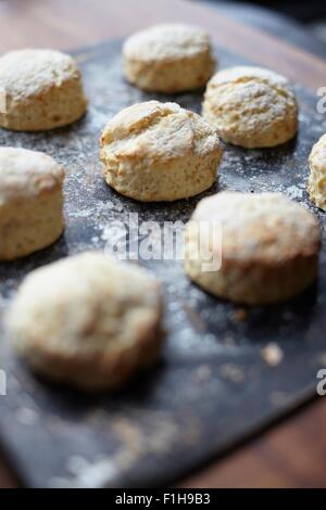 Close up di pane appena sfornato scones sul vassoio da forno Foto Stock