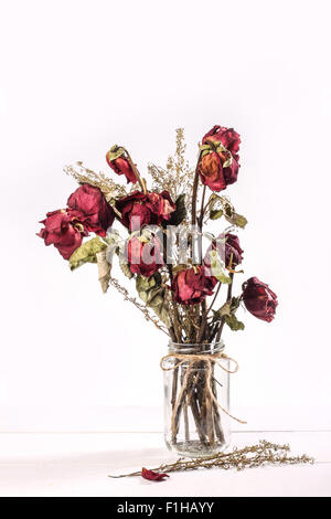 Bouquet di Red Rose secchi nel vaso di vetro su sfondo bianco Foto Stock
