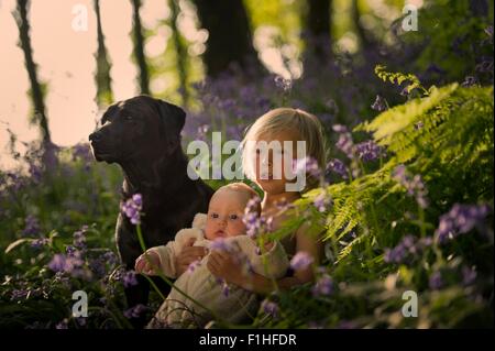 Ragazzo seduto con la sorella del bambino e cane nella foresta di bluebell Foto Stock