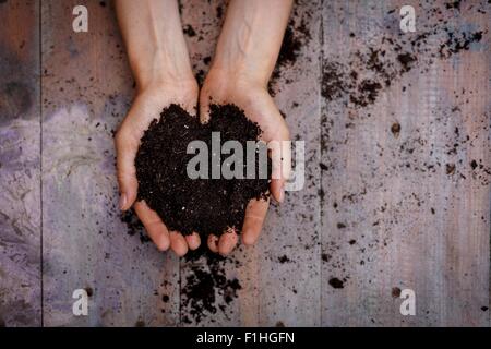 Angolo di Alta Vista della tazza mani tenendo il suolo Foto Stock