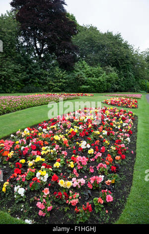 Posti letto pieno di tarda estate fiori sul display in Haworth Central Park West Yorkshire fioritura park Foto Stock