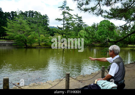 Il vecchio uomo alimentazione di fantasia o di carpe Koi pesci in laghetto in giardino del Tempio di Todai-ji il 9 luglio 2015 a Nara, Giappone Foto Stock