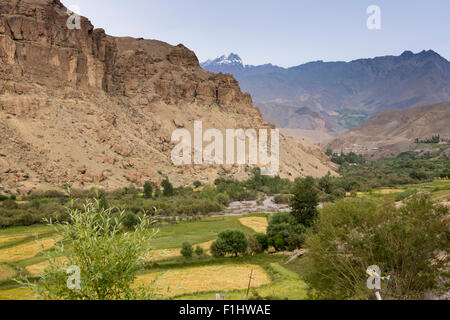 India, Jammu e Kashmir, Ladakh, Gama, Fiume Suru Chu passando attraverso il paesaggio agricolo Foto Stock