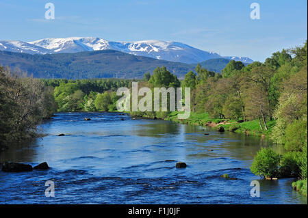 Il Fiume Spey vicino a Aviemore e Cairngorm montagne coperte di neve Badenoch e Strathspey, Highlands, Scotland, Regno Unito Foto Stock