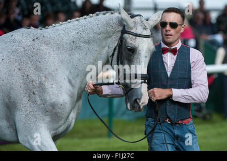 Stamford Lincs, Regno Unito. Il 2 settembre, 2015. Paolo Tapner (AUS) presenta Kilronan [#86] alla prima ispezione vet. La Land Rover Burghley Horse Trials 2015 Credit: stephen Bartolomeo/Alamy Live News Foto Stock