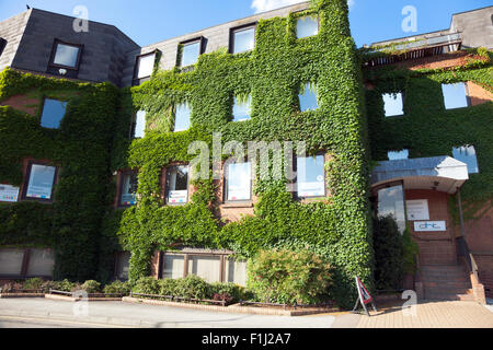 Un edificio ricoperta di edera a Hitchin, Regno Unito Foto Stock