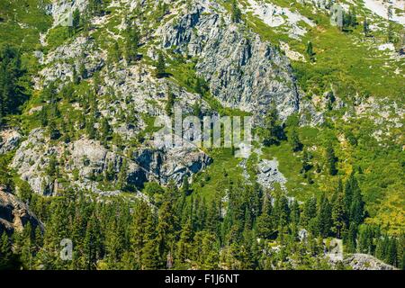 Verde montagna di granito. Sierra Nevada Mountain Closeup. L'estate. Foto Stock