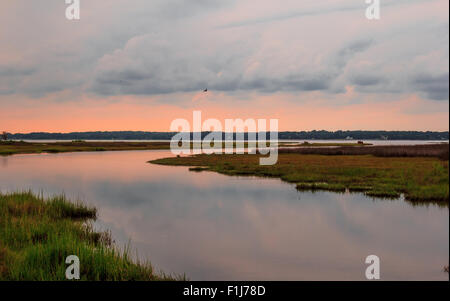 Assateague Island, Berlin Maryland USA Foto Stock