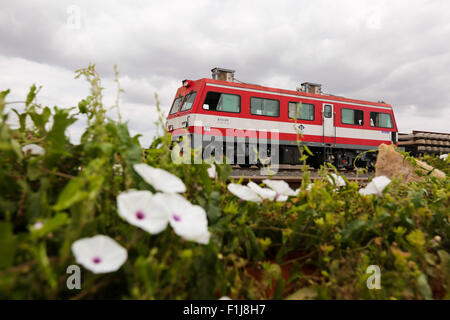 Mtito Andei, Kenya. 2 Sep, 2015. Un treno motore è visto alla sesta sezione del Kenya la ferrovia (SGR) progetto, vicino a Mtito Andei, Kenya, sul Sett. 2, 2015. Più di 25.000 kenioti sono state impiegate per la costruzione in corso di SGR, cinese-finanziato una linea ferroviaria ad alta velocità che collega il Kenya del porto della città di Mombasa a Nairobi capitale, secondo l'ambasciatore cinese in Kenya Liu Xianfa. © Pan Siwei/Xinhua/Alamy Live News Foto Stock