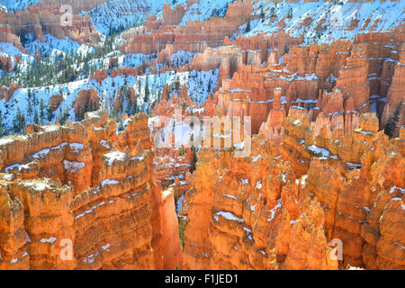 La luce del mattino sulla città silenziosa hoodoos come osservato da Rim Trail vicino al punto del tramonto si affacciano nel Parco Nazionale di Bryce Canyon dello Utah Foto Stock