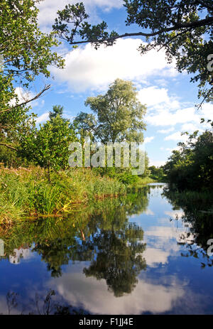 Una vista di Cockshoot Dyke su Norfolk Broads vicino Woodbastwick, Norfolk, Inghilterra, Regno Unito. Foto Stock