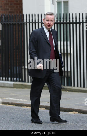 Londra, UK, 19 Maggio 2015: Giustizia segretario Michael Gove visto a Downing Street a Londra, Foto Stock