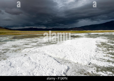 Strati di sale, paesaggio arido e nuvole scure a Tso Kar, una fluttuazione di Salt Lake, 4,530 m, area Changtang, Thukje Foto Stock