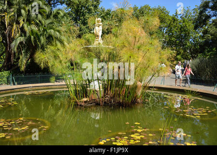 Thorne fontana nel giardino pubblico, la società del giardino, Cape Town, Provincia del Capo occidentale, Repubblica del Sud Africa Foto Stock