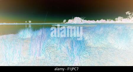 Fiume Chobe al tramonto, Botswana, Africa Foto Stock