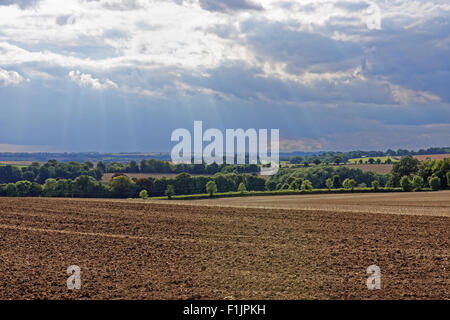 Una vista attraverso il rotolamento di chalk altopiani del Lincolnshire Wolds,UK Foto Stock