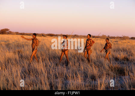 I Boscimani la caccia al crepuscolo, Namibia, Africa Foto Stock