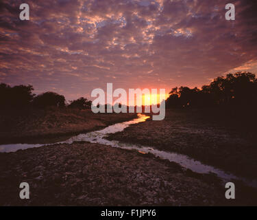 Tramonto sulla Valle del Luangwa Zambia, Africa Foto Stock